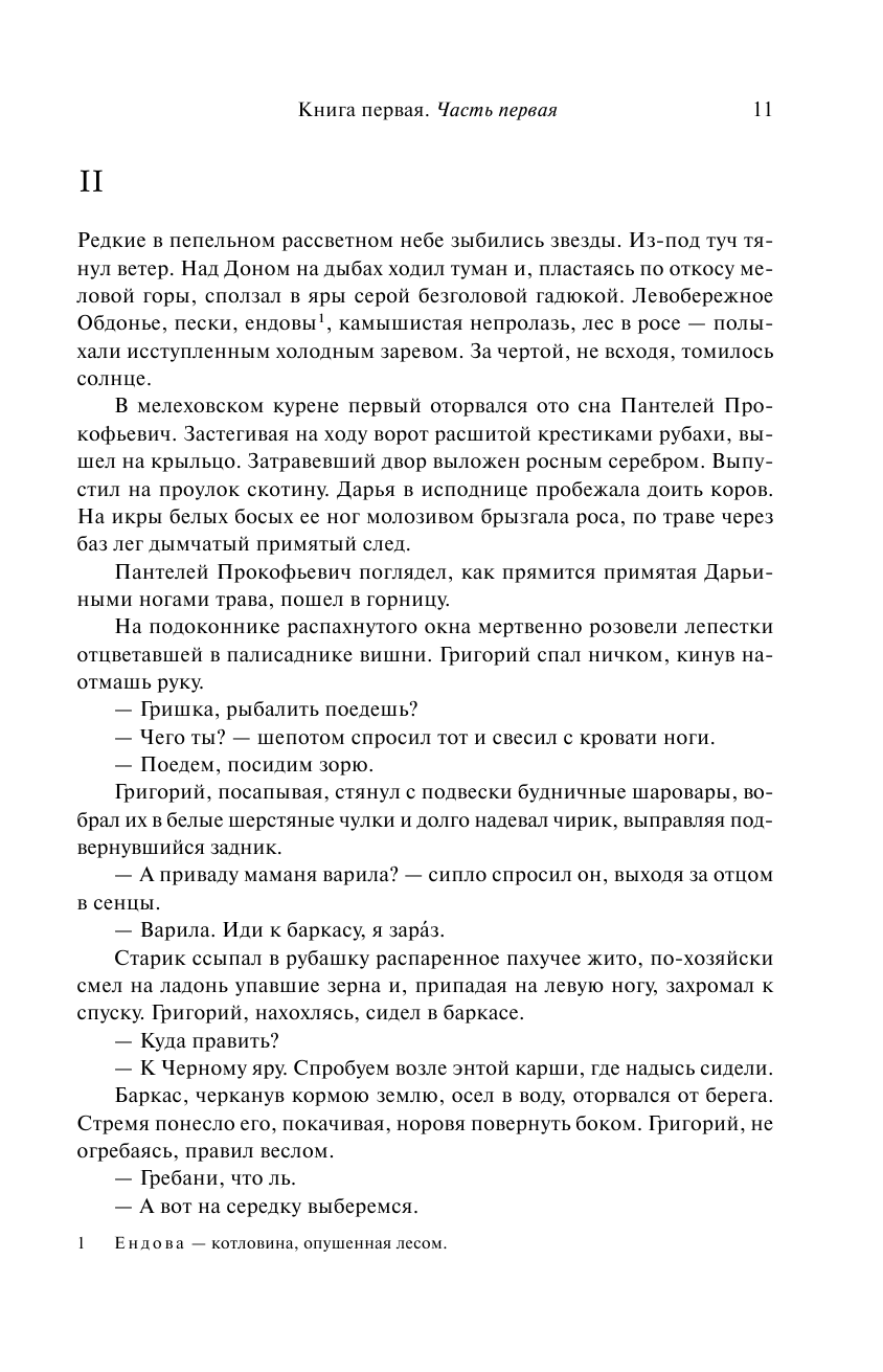 Тихий Дон. Шедевр мировой литературы в одном томе - фото №10