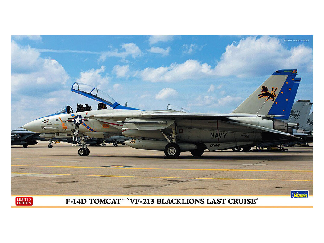 02406-Самолет F-14D VF-213 BLACKLIONS