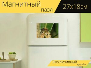 Магнитный пазл "Пчела, пчелы, макрос" на холодильник 27 x 18 см.
