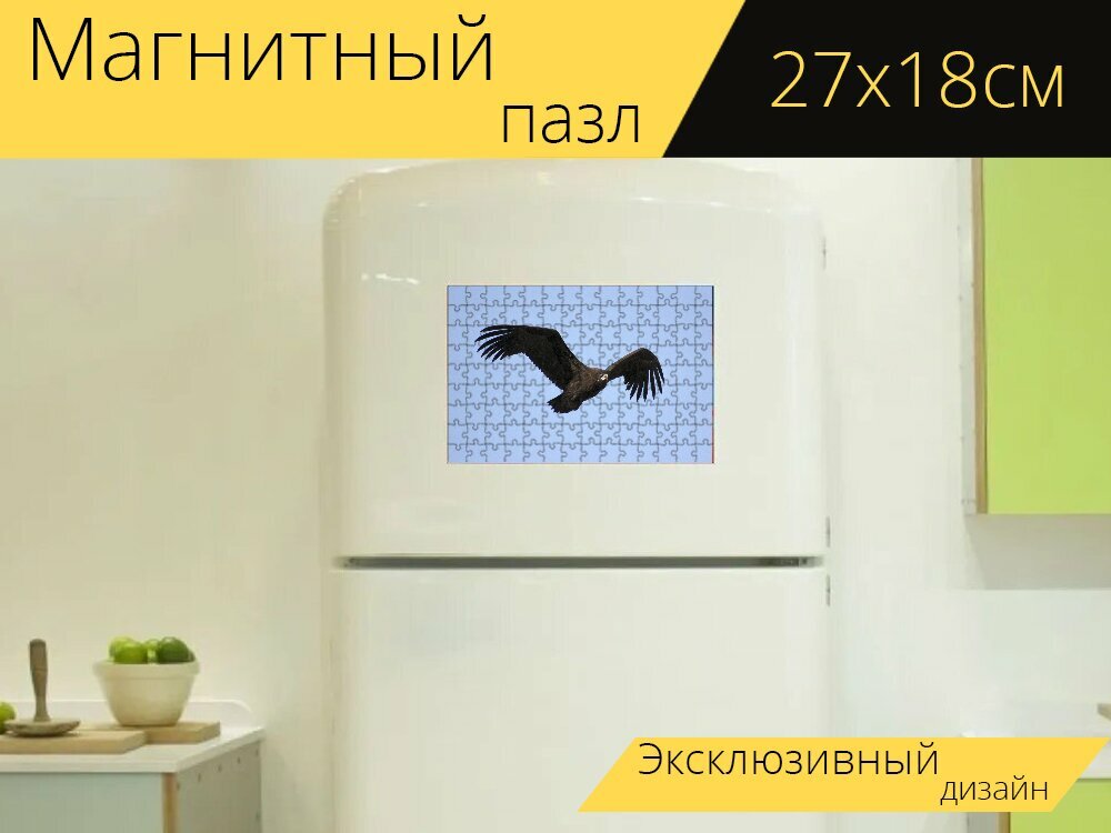 Магнитный пазл "Природа, орел, крыло" на холодильник 27 x 18 см.