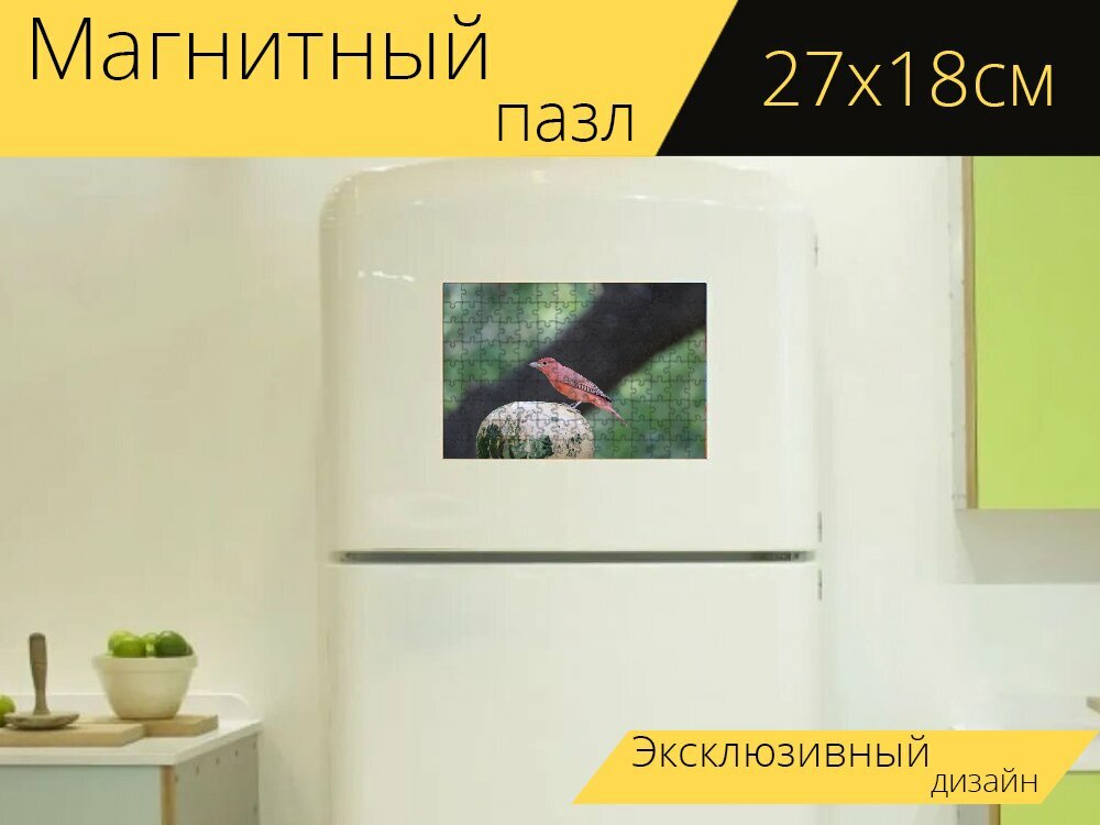 Магнитный пазл "Птица, перья, клюв" на холодильник 27 x 18 см.