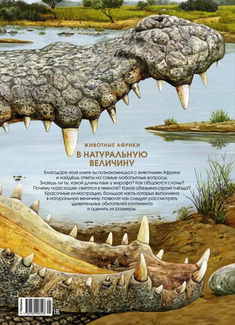 Животные Африки в натуральную величину - фото №13