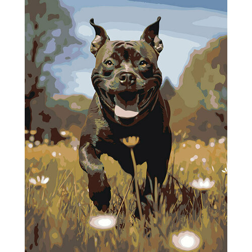Картина по номерам на холсте Собака Стаффорд 2 40x50 картина по номерам собака спаниель черная 2 40x50