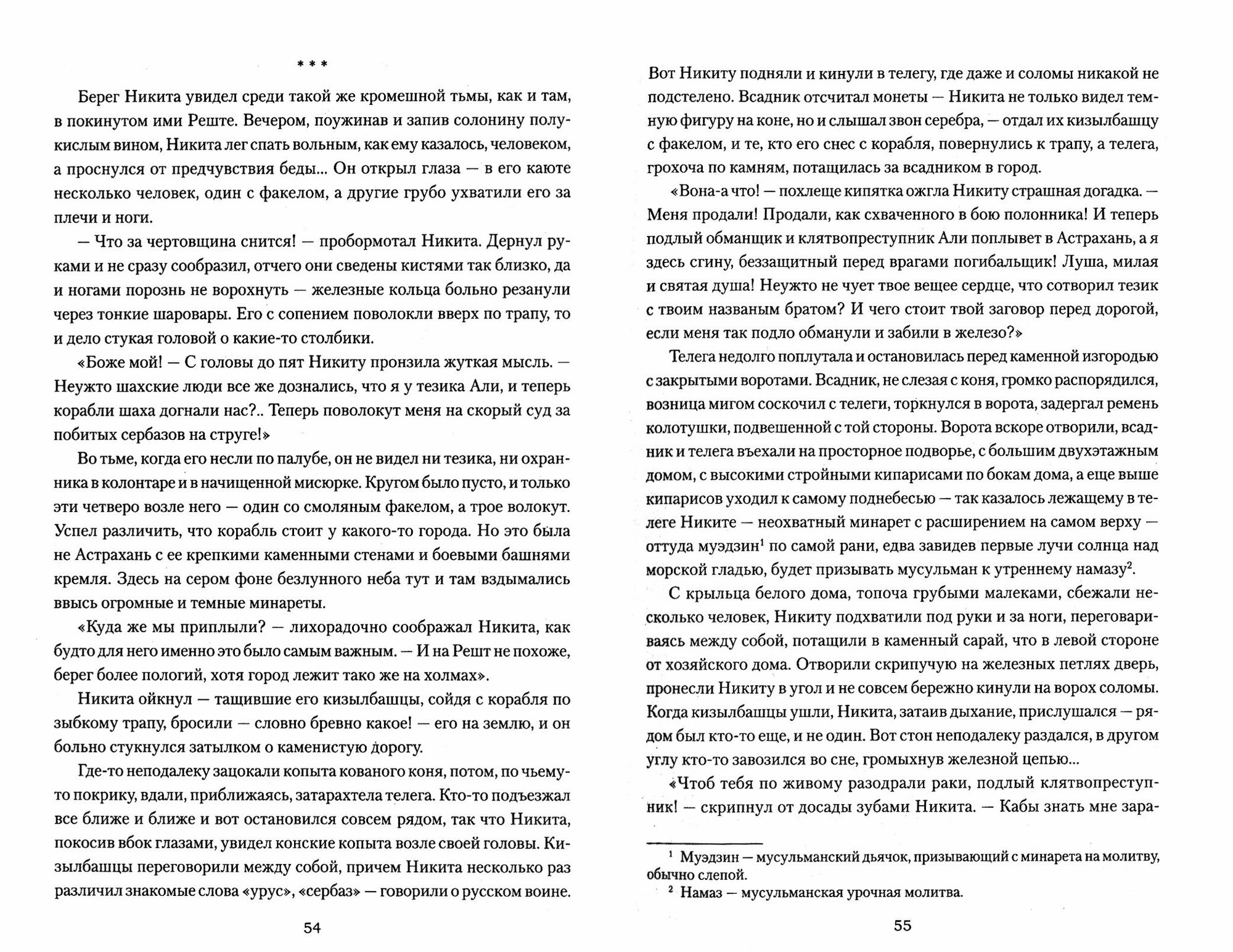 Самарская вольница (Буртовой Владимир Иванович) - фото №3