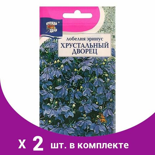 Семена цветов Лобелия 'Хрустальный дворец', 0,05 г (2 шт) семена цветов лобелия голубой бриз 0 1 г