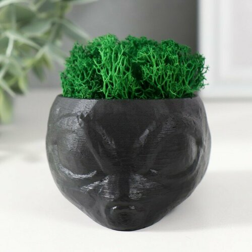 Кашпо бетонное Пришелец высота 5 см d-6 см черный со мхом мох зелен стабилизир 651₽
