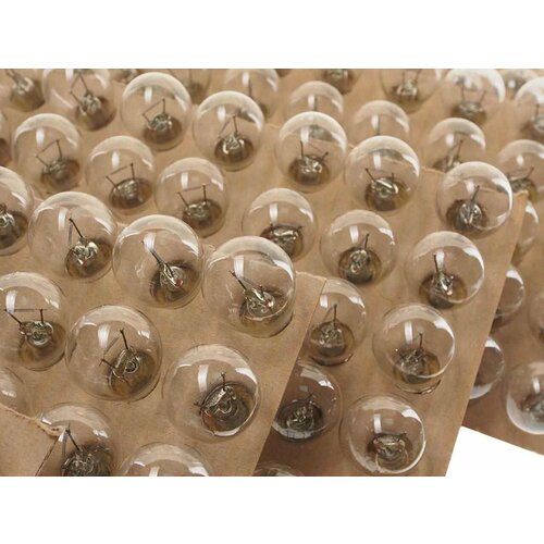 Лампа 24V P21W BA15s белсвет, А24-21-3, бэлз