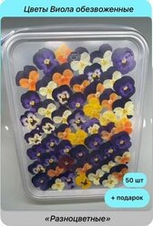 Цветы Виолы "Разноцветный", 50 шт. самые миниатюрные соцветия - съедобные, обезвоженные, сушеные для декора торта, куличей, шоколада, десертов и выпечки.