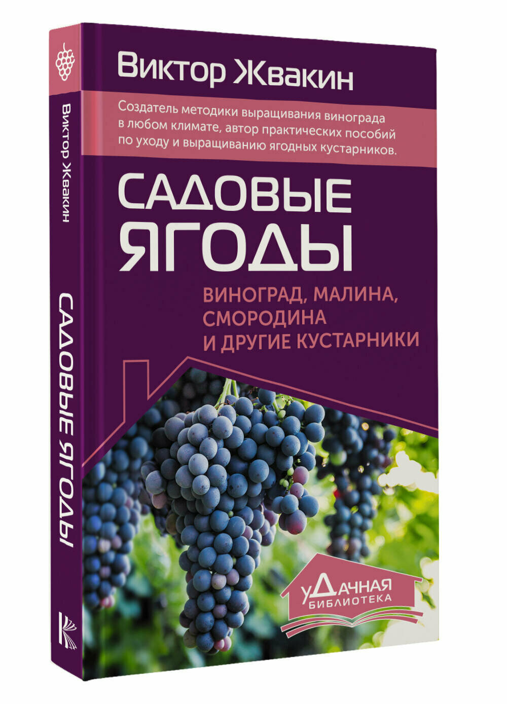 Садовые ягоды. Виноград, малина, смородина и другие кустарники Жвакин В. В.