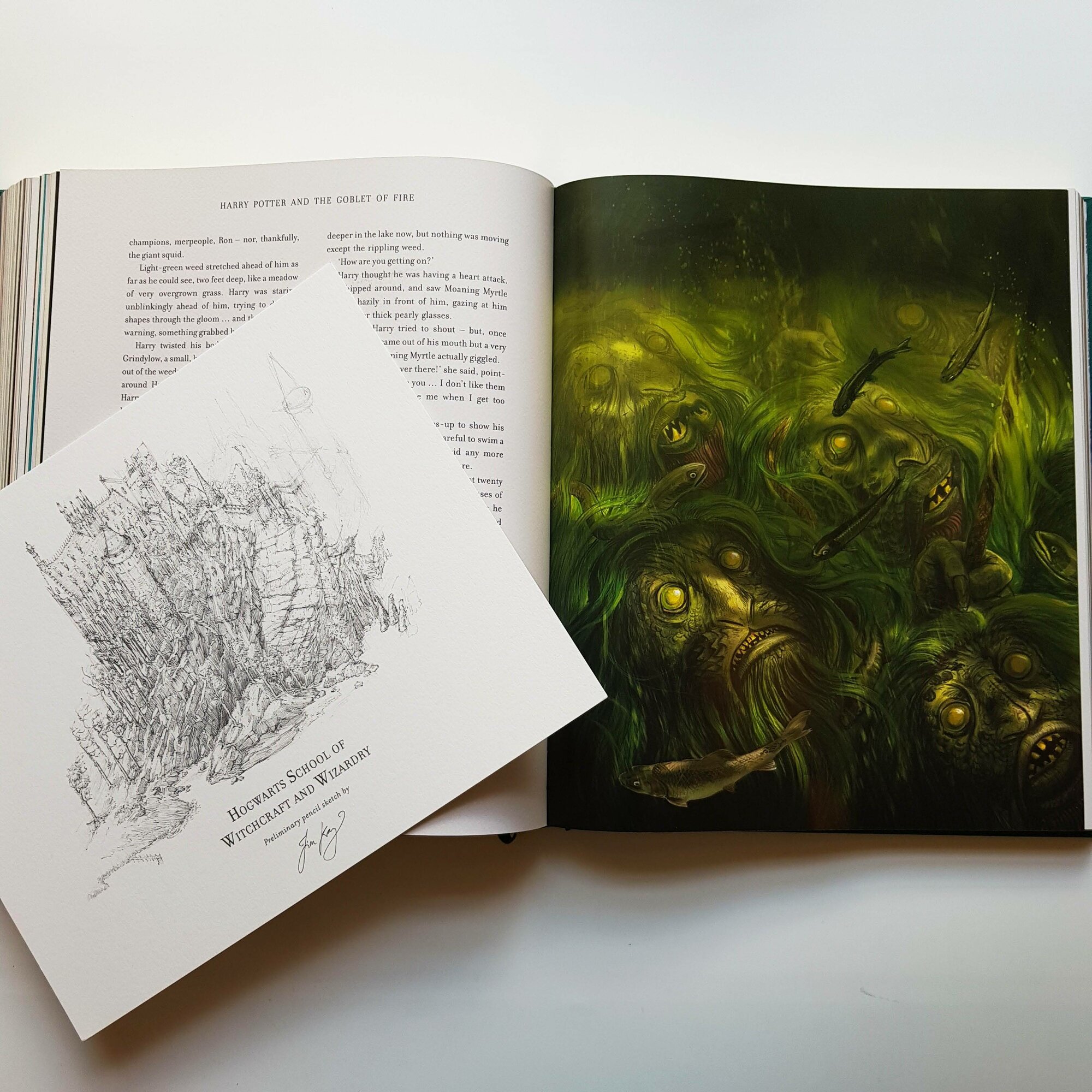 Гарри Поттер и Кубок Огня: Делюкс иллюстрированное издание, Harry Potter and the Goblet of Fire: Deluxe Illustrated Slipcase Edition - фото №15