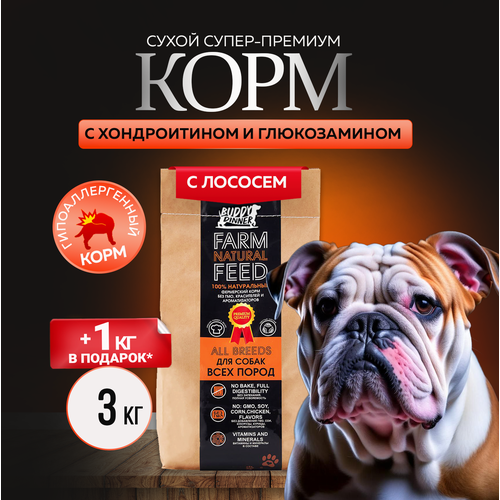 Сухой корм для собак крупных и средних пород Buddy Dinner Orange Line Hypoallergenic с лососем 3 кг + 1 кг в подарок