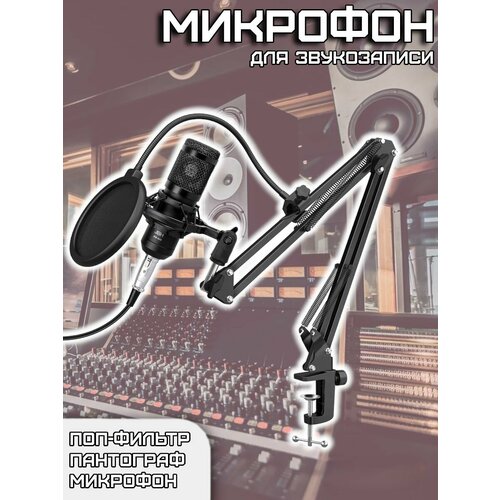 Конденсаторный микрофон с поп-фильтром Набор 287500₽
