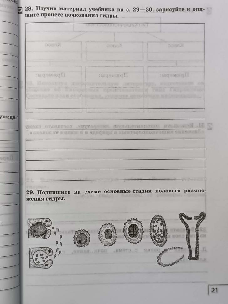 Биология. 8 класс. Многообразие живых организмов. Животные. Рабочая тетрадь к уч. Н. И. Сонина. - фото №6