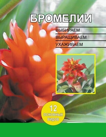 Бромелии. Выбираем выращиваем ухаживаем [Цифровая книга]