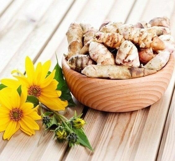 Топинамбур   Земляная Груша  клубни 0 5 кг    делёнки многолетних растений  корни   для дачи  сада  дома и балкона