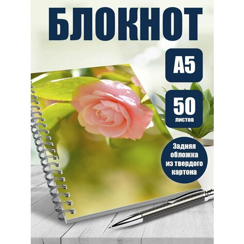 Блокнот А5 Красота природы. Цветы