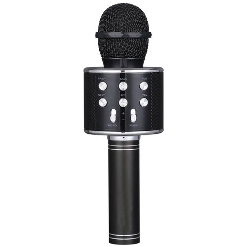 Беспроводной микрофон черный FunAudio G-800 237000₽