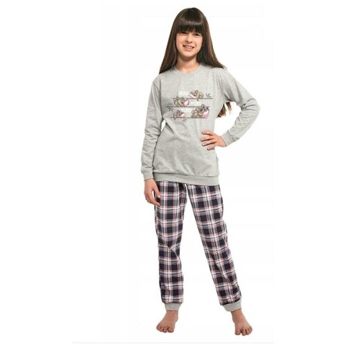 594/117 Пижама для девочки Cornette Koala - размер: 122-128, цвет: Светло-серый