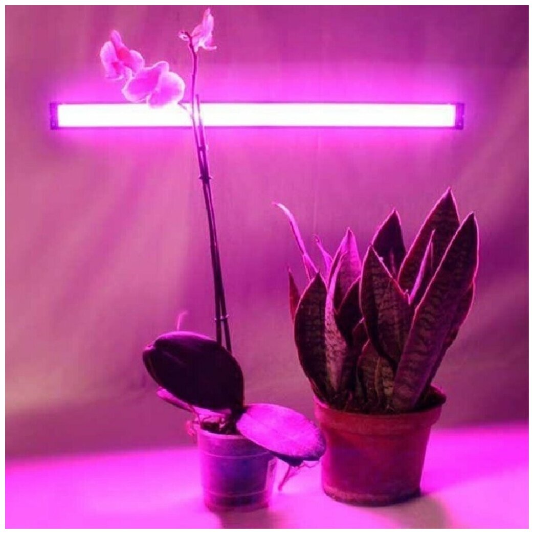 Светильник светодиодный для растений Camelion 5 Вт IP40 300x35x26 спектр для рассады 6625918
