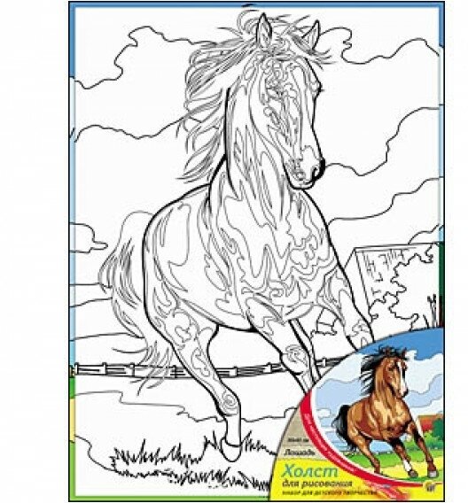 Холст с красками 30х40 см. лошадь (Арт. Х-9843)