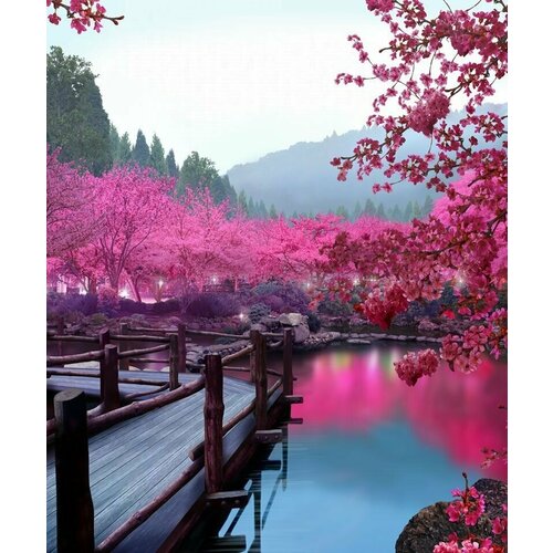 Моющиеся виниловые фотообои Цветущая сакура у воды. Япония, 200х240 см