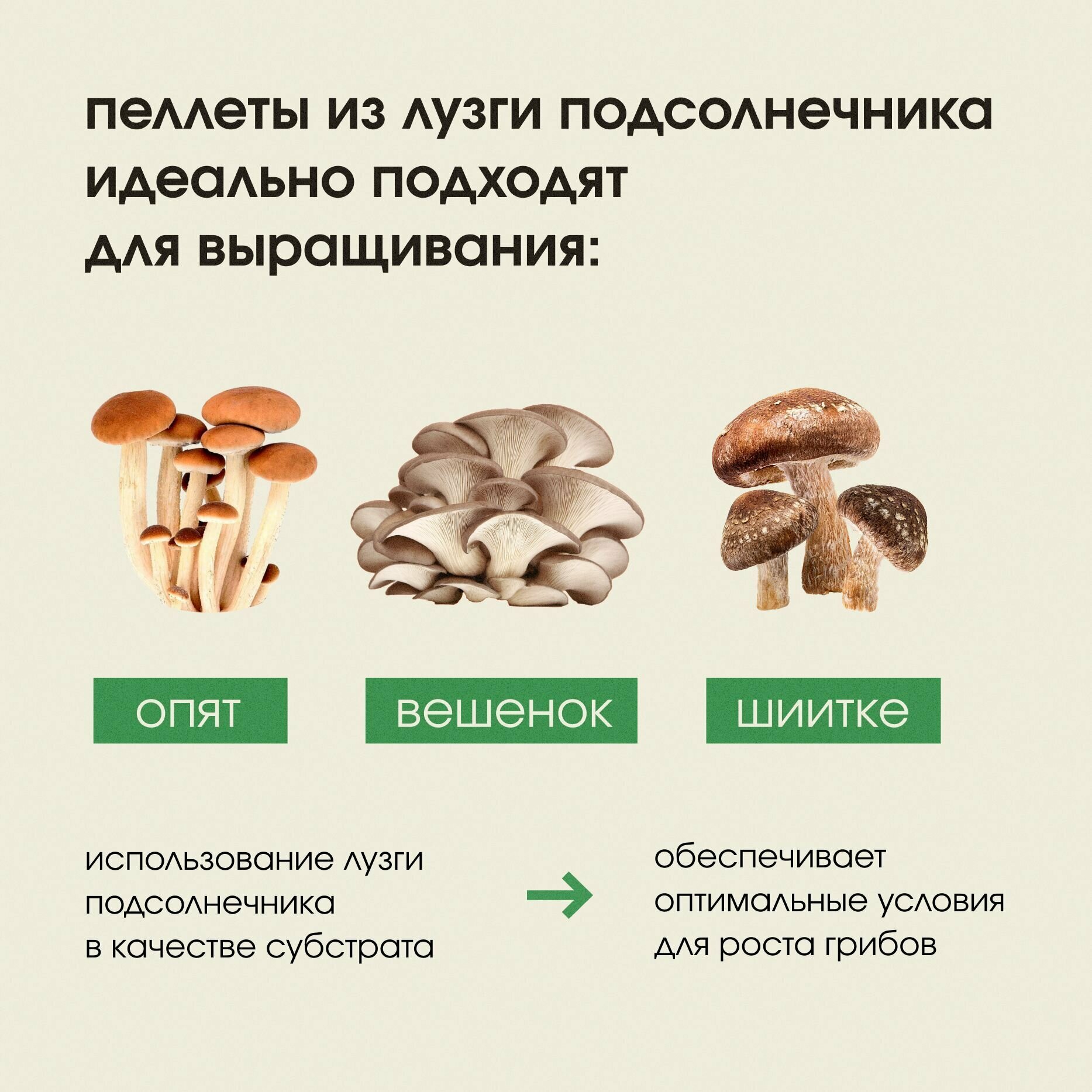 Субстрат для грибов, пеллеты из лузги подсолнечника