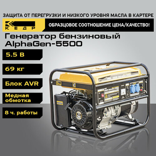 Генератор бензиновый (бензогенератор) 5.5 кВт 220В, ручной стартер Одноцилиндровый, 4 тактный, с принудительным воздушным охлаждением 8024832