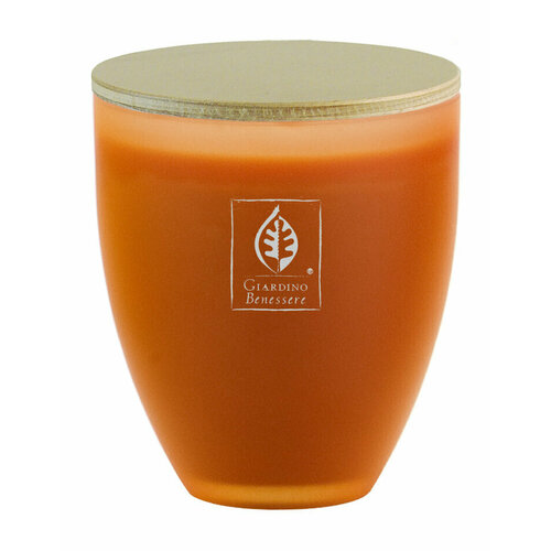 GIARDINO BENESSERE Amber Свеча в оранжевом стекле 255 г 7092₽