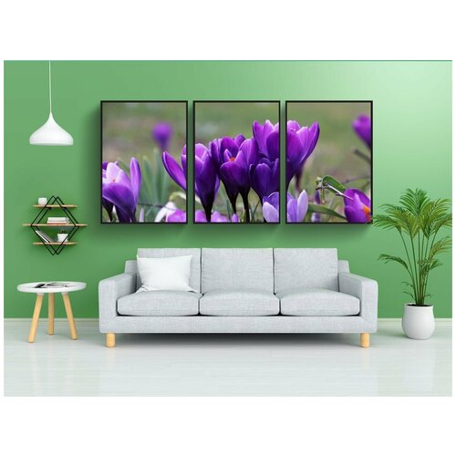 фото Набор модулных постеров для интерьера "фиолетовый, крокус, сад" 60x90 см. в тубусе, без рамки lotsprints