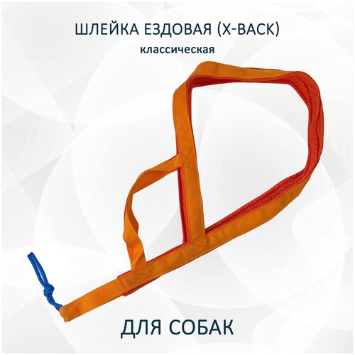 Шлейка ездовая totemica для собак X-Back, классическая оранжевая "Апельсин" L