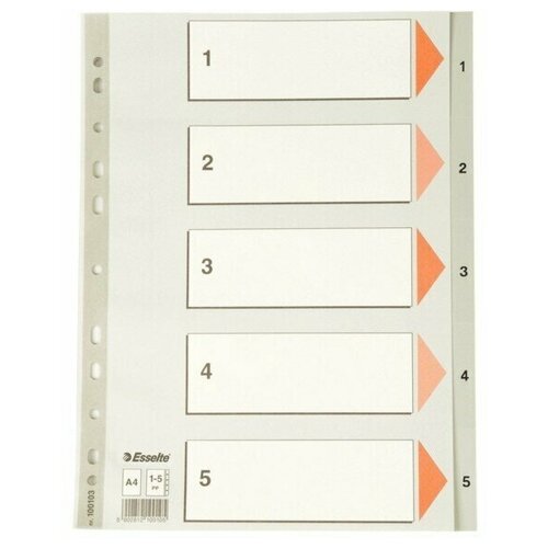Разделитель 1-5 разделов Esselte, А4, пластик, серый, титульный лист