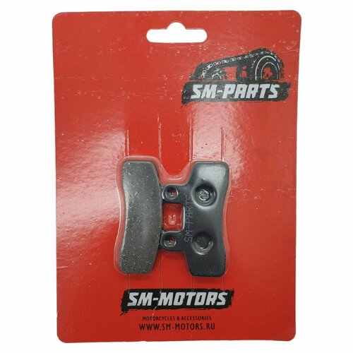 Колодки дискового тормоза двухпоршневой суппорт TTR-125 540₽