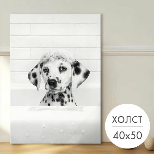 фото Картина на холсте "далматинец в ванной" 40x50 на стену для интерьера 28 kartin