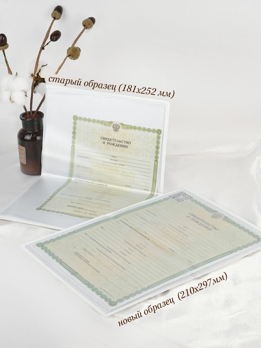 Обложка , зеленое яблоко — фото 1