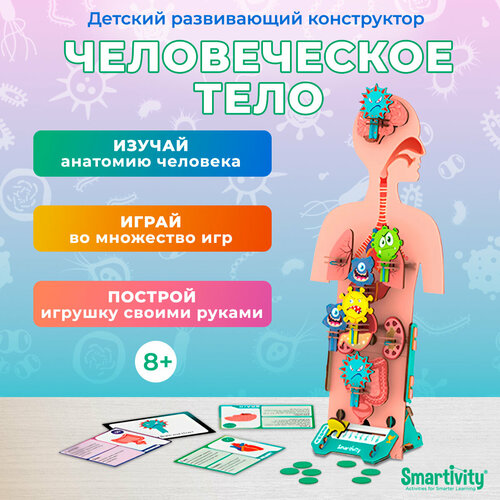 Деревянный конструктор Smartivity SMRT1222 Человеческое тело