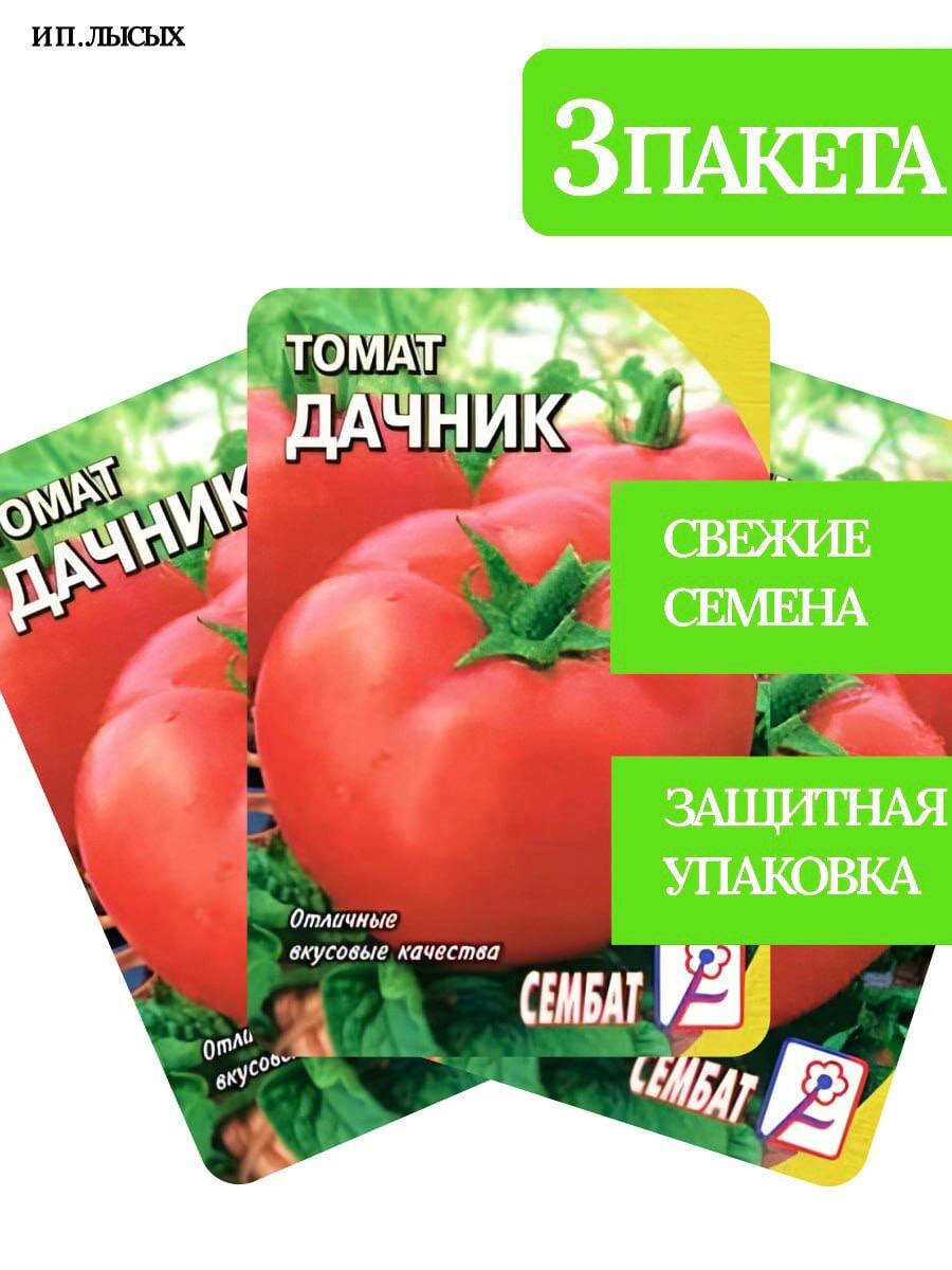 Семена томата  Дачник 