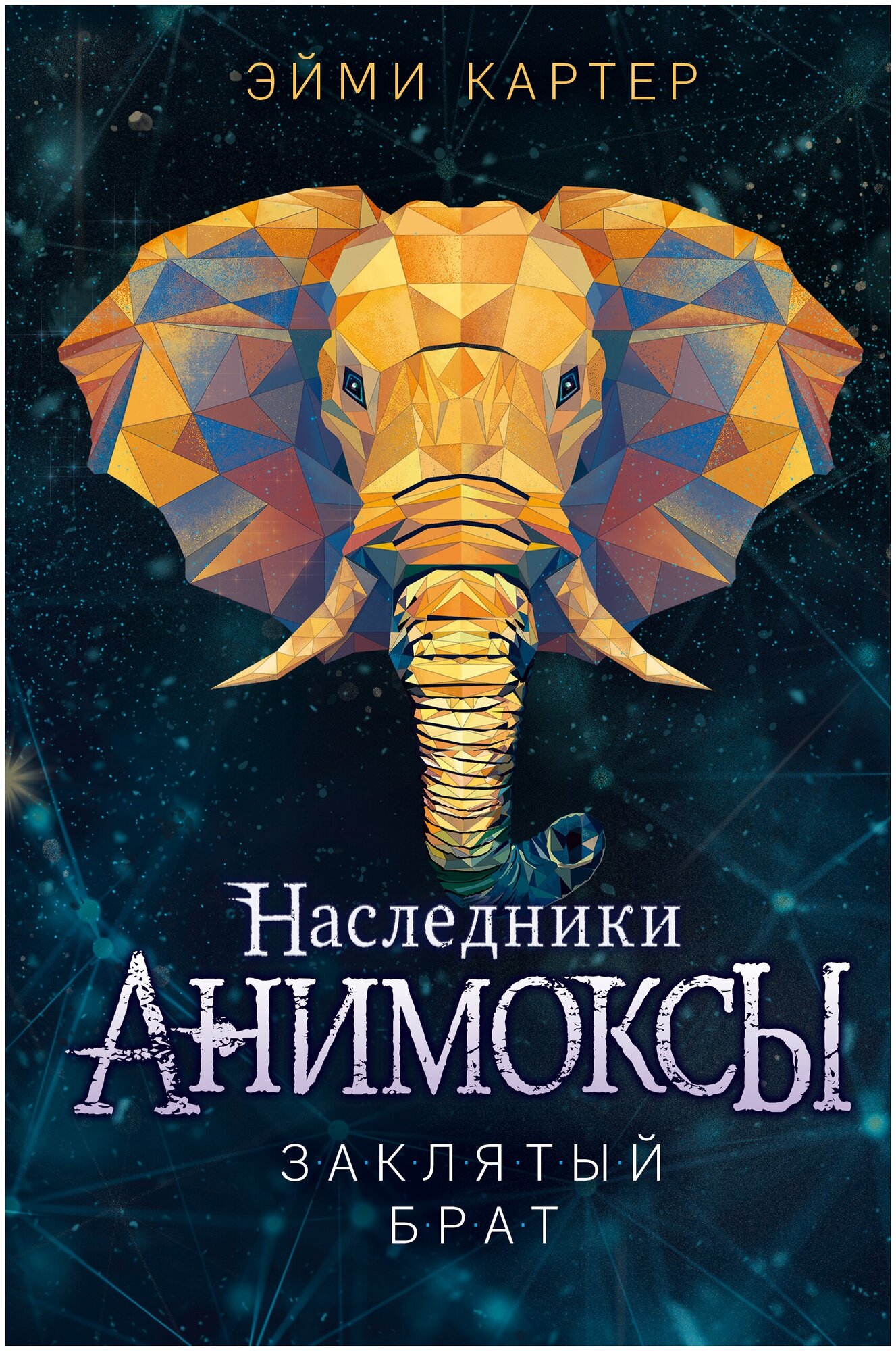 Заклятый брат Книга Эйми Картер 12+