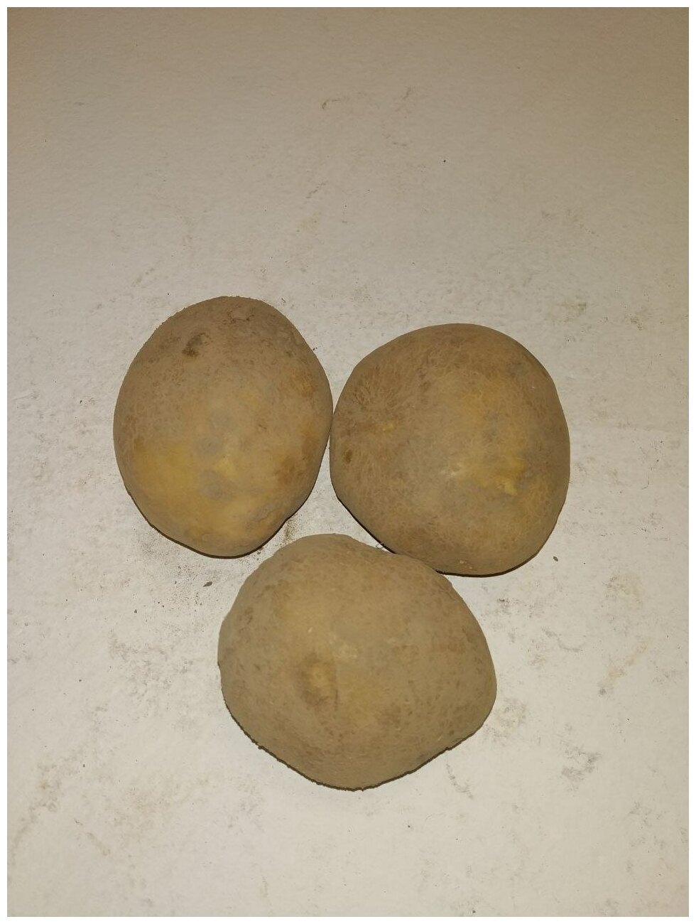 Картофель семенной винета (Адретта) клубни 2 кг - фотография № 5