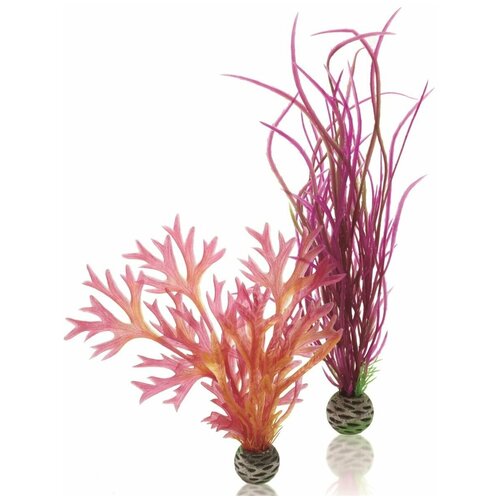 Набор декор. растений 