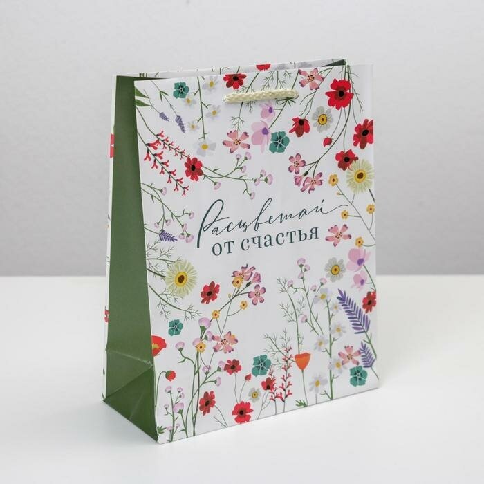 Доступные Радости Пакет подарочный ламинированный, упаковка, «Расцветай от счастья», MS 18 х 23 х 8 см