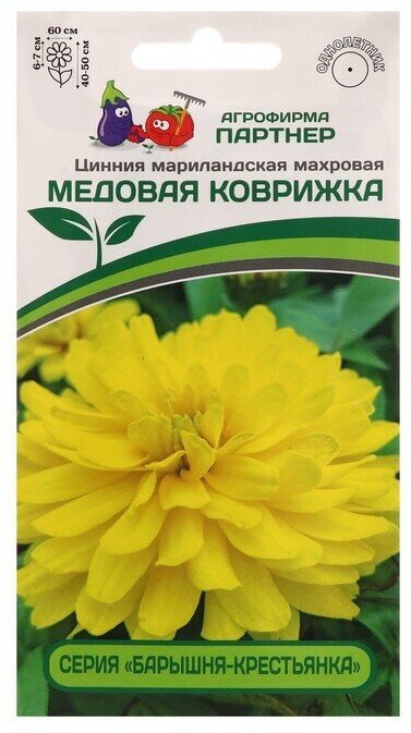 Семена цветов цинния махровая барышня-крестьянка "Медовая Коврижка", 5 шт.