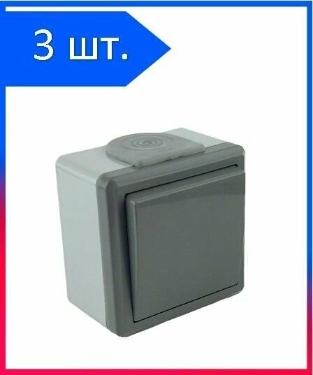 фото Выключатель Наруж Одноклавишный Серый IP55 10А 250В Пралеска