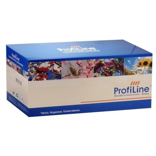 Картридж ProfiLine T0481, черный