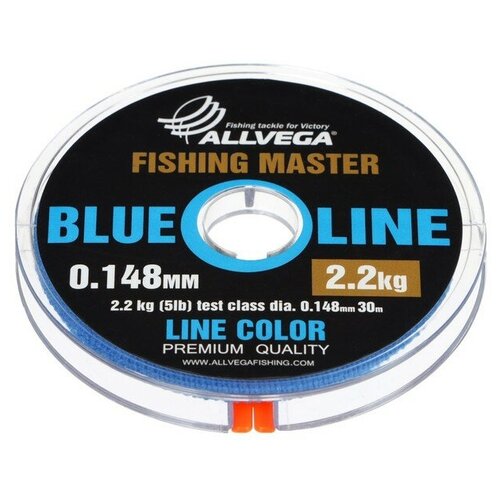 фото Леска монофильная allvega "fishing master" 30м 0,148мм, 2,2кг, голубая