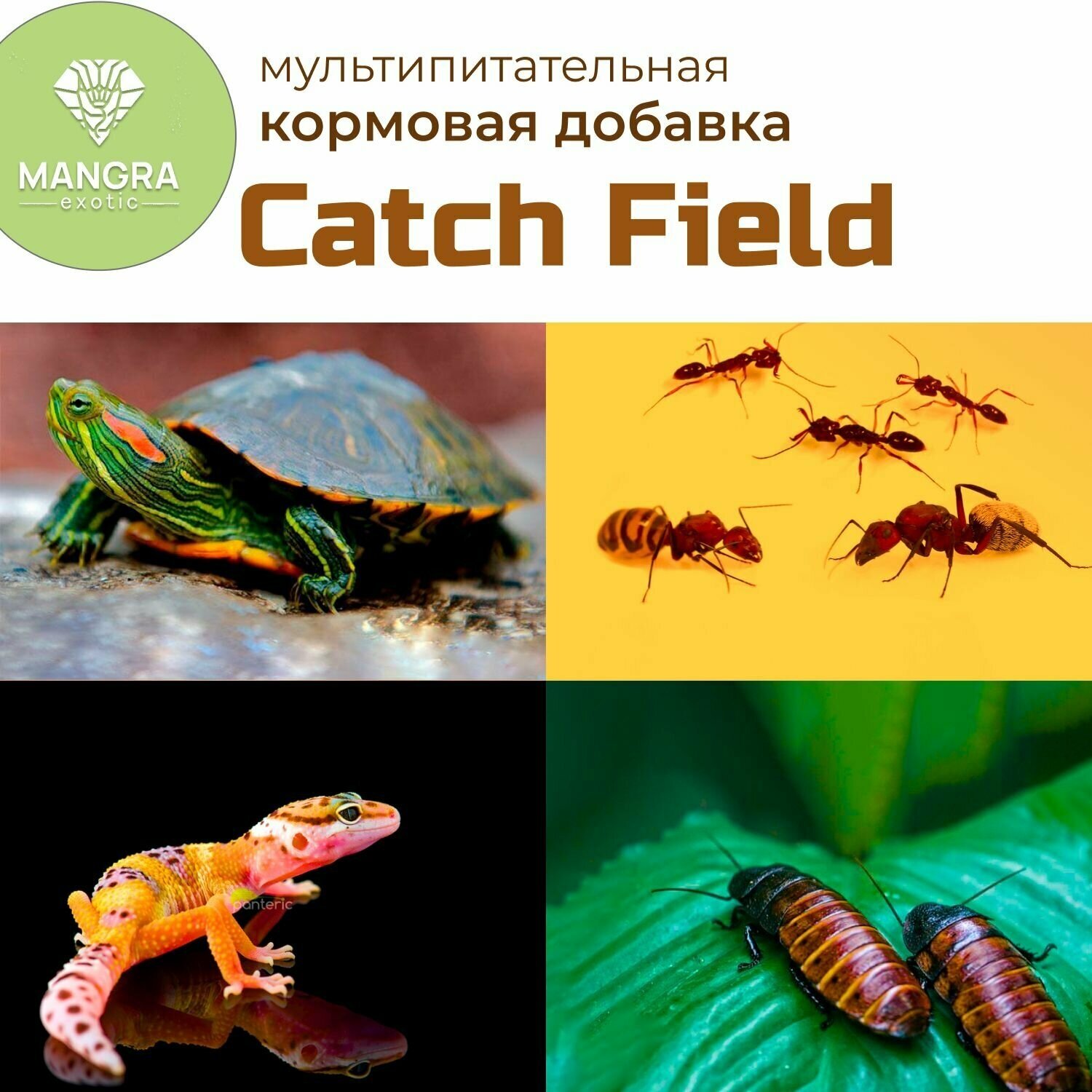 MANGRA exotic Catch Field, 650 мл - мультипитательная подкормка для рептилий, черепах, птиц, насекомых, мучных червей - функциональный корм - фотография № 2