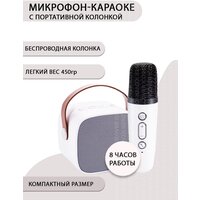 Детская караоке система / Детский микрофон Fifine E1 (White) (Беспроводной, Живой вокал, Портативная колонка)