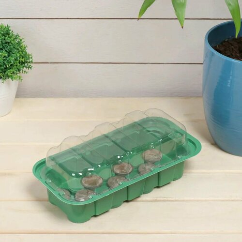 Мини-парник для рассады под торфяные таблетки d3,3 см - 11 шт (без таблеток)