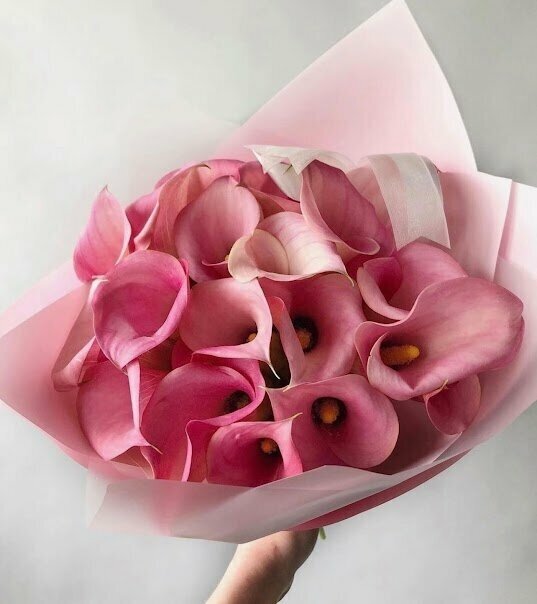 Букет Каллы розовые, красивый букет цветов, шикарный, цветы премиум.