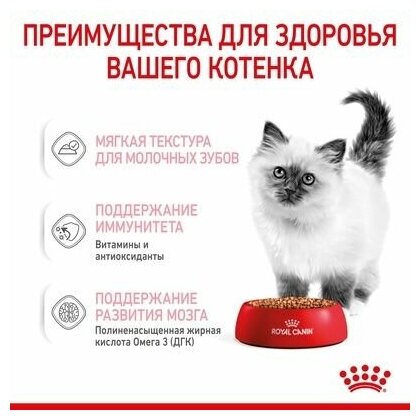 Royal Canin Kitten влажный корм для котят, соус и желе, мультипак (5+5) 10х85 г. - фотография № 10