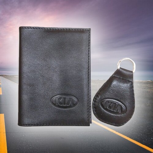 Комплект для автодокументов , черный, мультиколор